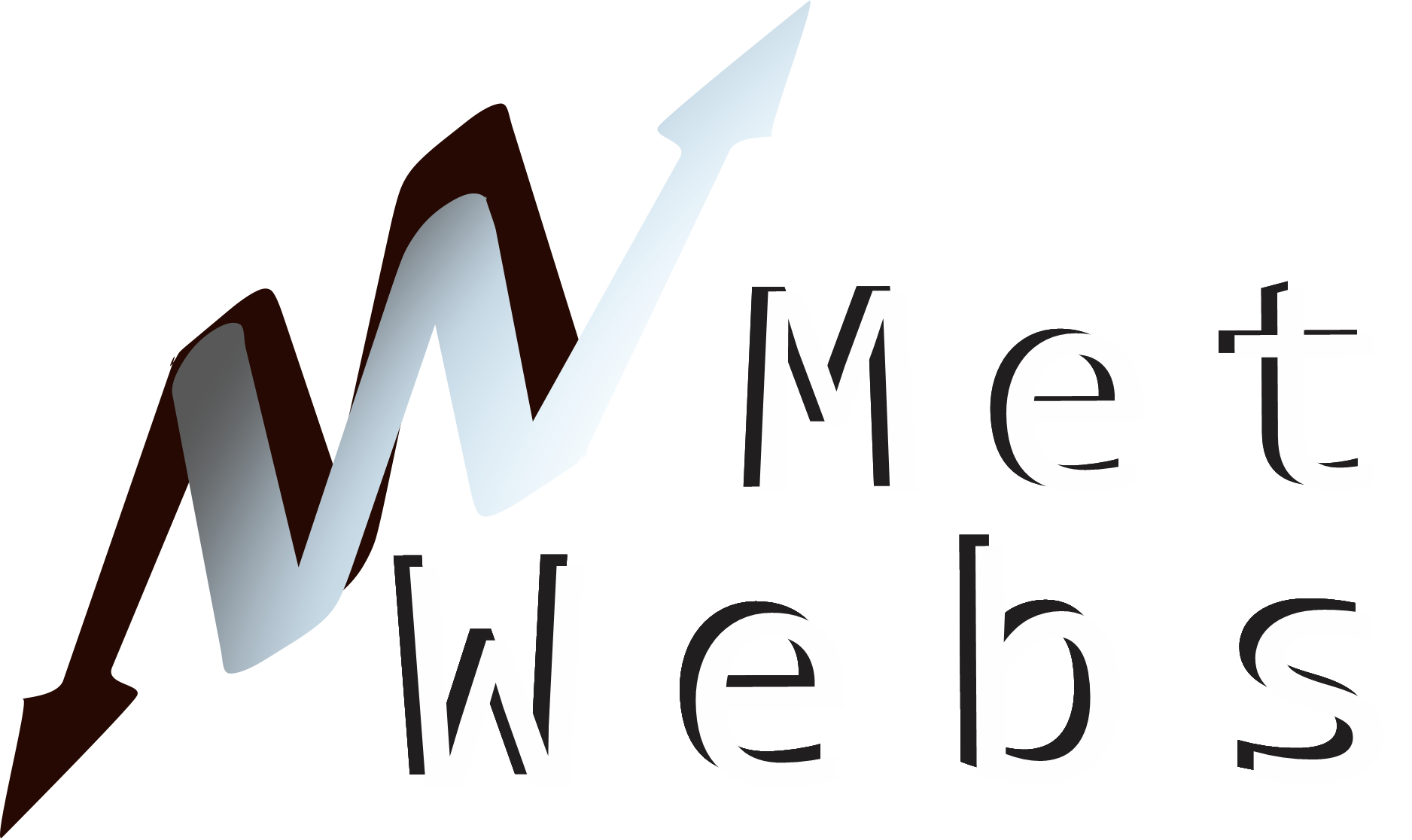 metwebs- desarrollo web